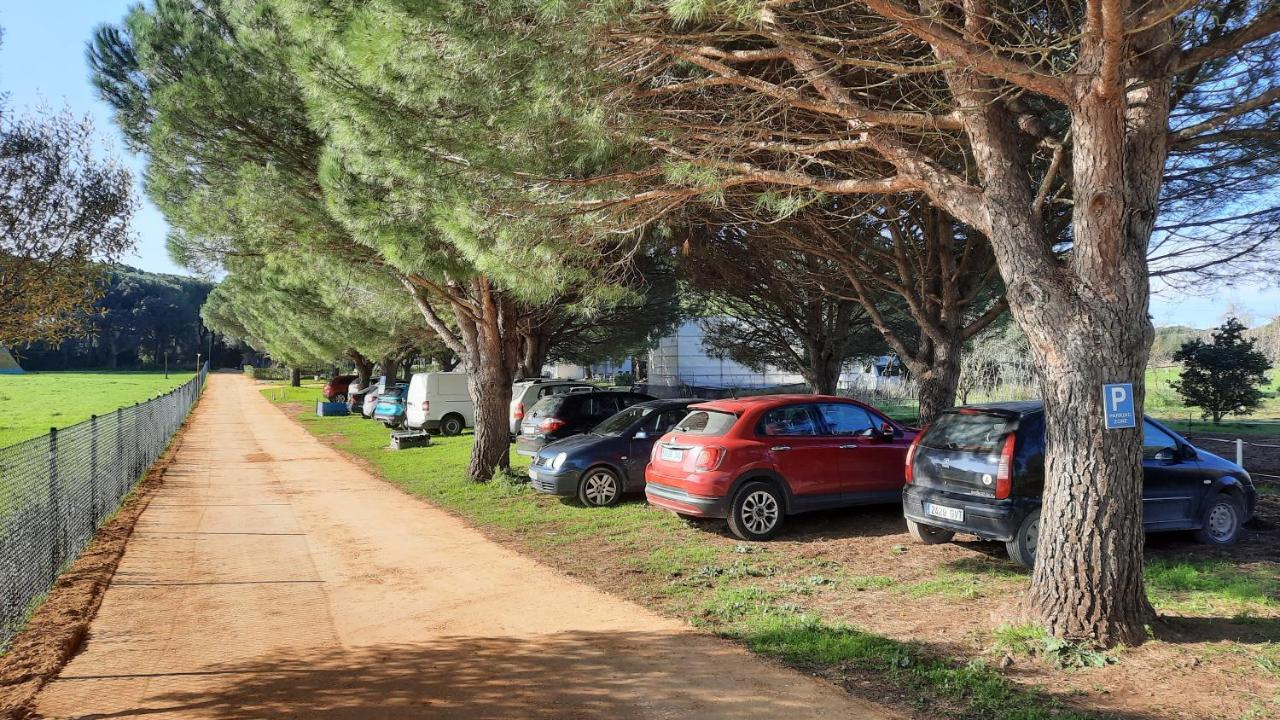 El Oasis De Anayansi Cabanas Con Encanto Вьер де ла Фронтера Экстерьер фото